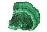 Polished Malachite Slab - DR Congo #264829-1